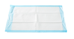 Procedure Underpad 17 W X 24 L Inch Blue NonSterile